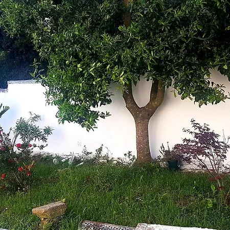 Casa Aguete